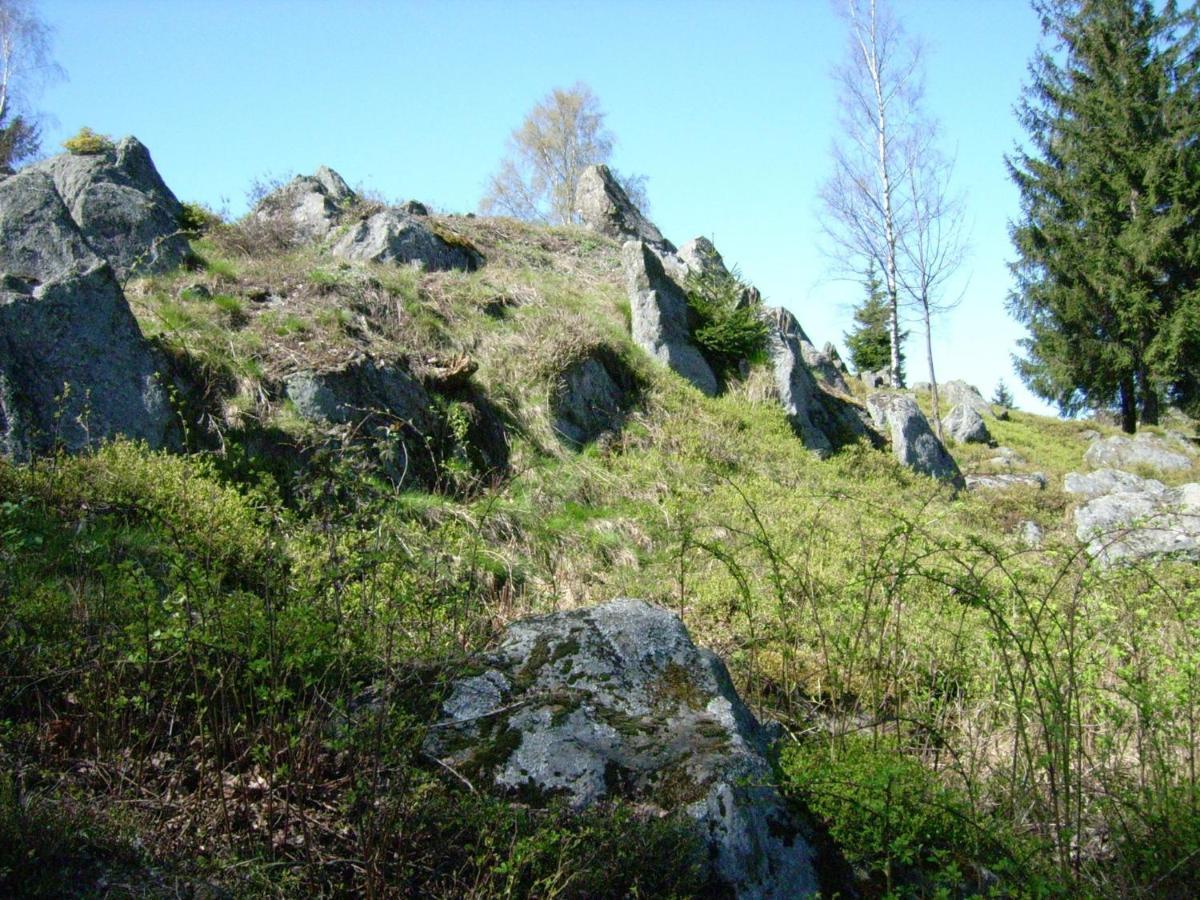 Holiday Home Near The Ski Slope Stadlern Bagian luar foto
