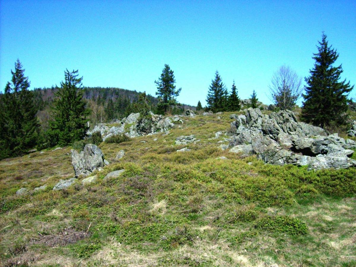 Holiday Home Near The Ski Slope Stadlern Bagian luar foto