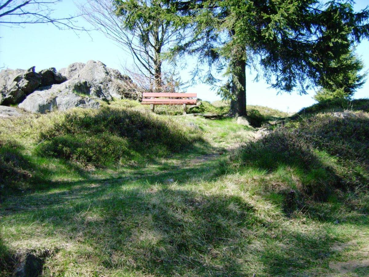 Holiday Home Near The Ski Slope Stadlern Bagian luar foto